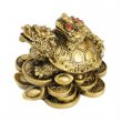 Žaba  na dračej korytnačke